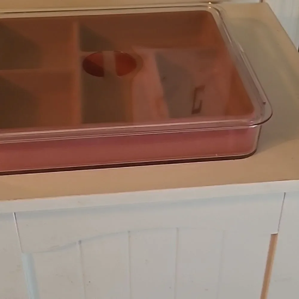 Clear and Pink Divided Storage Box